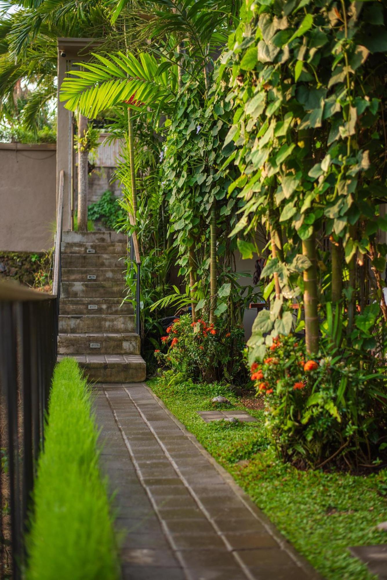 Pangkung Sari Bed And Breakfast Canggu Εξωτερικό φωτογραφία