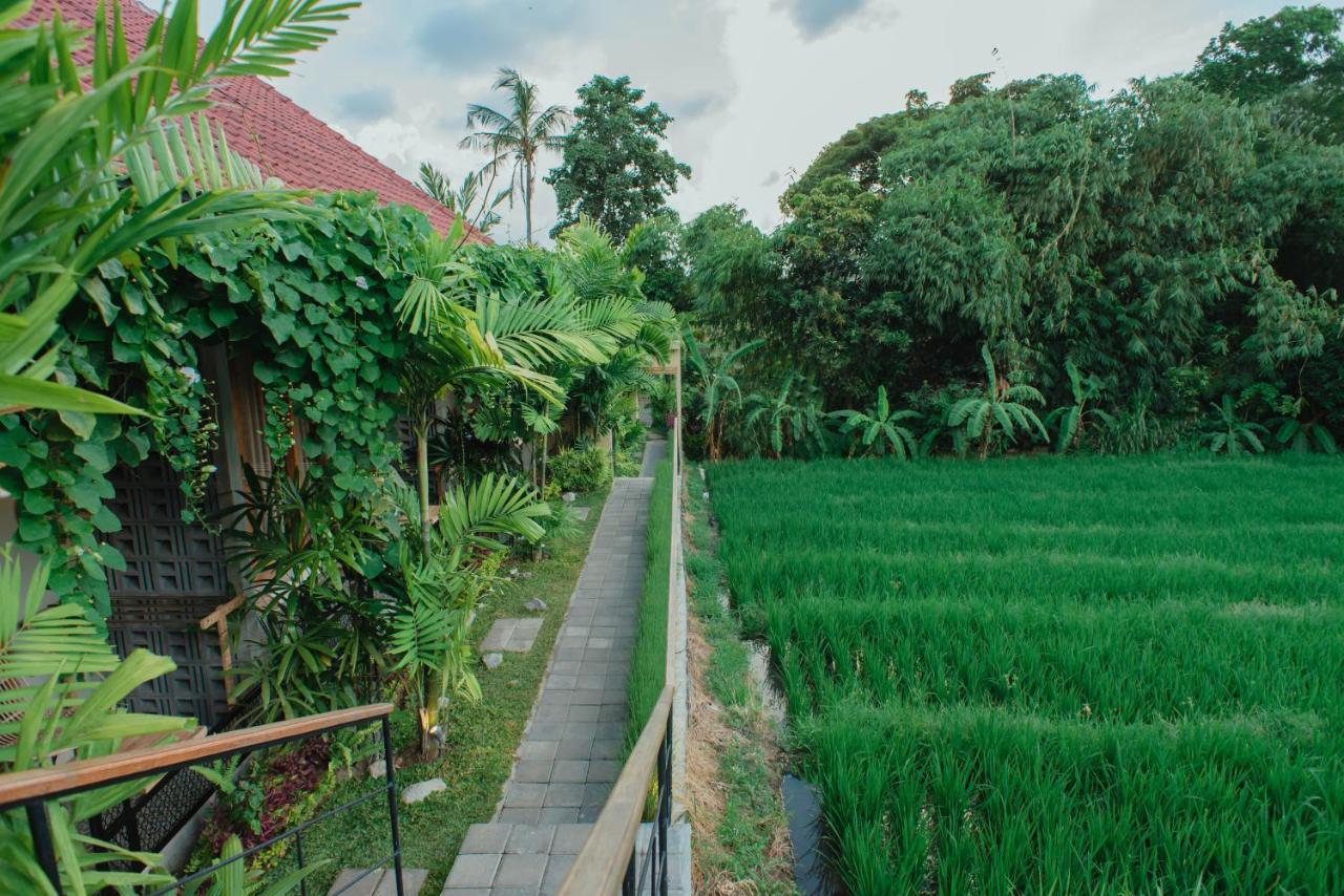 Pangkung Sari Bed And Breakfast Canggu Εξωτερικό φωτογραφία